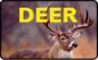 Deer Product